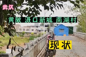 武汉，黄陂滠口新城南湖村现状，地铁只到藤子岗，武湖最后解封视频封面