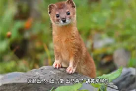 对于这些精怪，道教是怎么处理的呢？