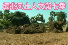 缅甸北部曼德勒附近村庄文化遗产视频封面