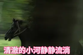 爱你到天荒地老，情比海深。视频封面
