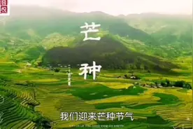 芒种的来历 作者赵敏捷 刘敏 讲述刘敏#二十四节气 #芒种的来历