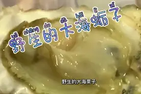 来大连小付家庄赶海，必须拿三样工具，勾子耙子小桶。拣海参鲍鱼视频封面