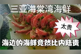 长沙突降暴雪气温骤降，乘飞机逃离去三亚避寒，冰火二重天视频封面