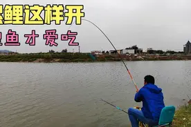 螺鲤2号既简单又实用的一种开法，专攻湖库大鱼，白条哥实战分享