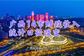 广西14市财政收入统计口径改变视频封面