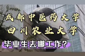 四川高校4:成都中医药大学，四川农业大学就业解读视频封面