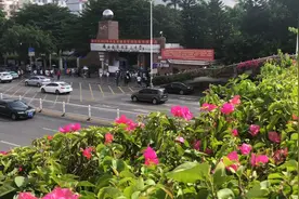 南宁今年初中升高中的比例不到50%，五万考生有一半上不了高中视频封面