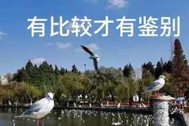 司马南为什么不质疑海尔国资流失问题视频封面
