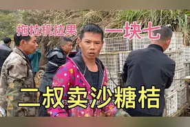 彪哥二叔卖沙糖桔，遇上下雨天路烂不好走，只能用拖拉机拉果子！视频封面