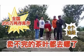 全国库存茶叶200万吨，卖不完的茶叶去哪了？6种渠道流向一个地方视频封面