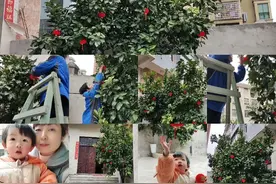家庭和睦相处！健康幸福快乐就好！视频封面