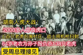 湖南人虎大战视频封面