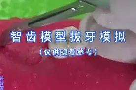 拔没长出来的智齿视频封面