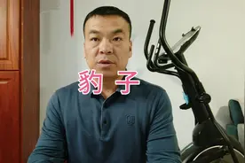 杭州发现的金钱豹找到失主了，那么豹子到底危不危险呢？视频封面