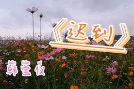 一首怀旧老歌《迟到》韩宝仪唱出我的心里早已有个他，他比你先到