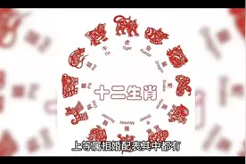 十二生肖上等婚配表视频封面