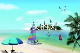 温岚《夏天的风》视频封面