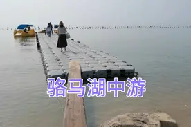 骆马湖中游，坐坐电动船，看看湖中水，感受一下大自然的气息。视频封面