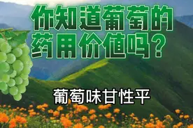你知道葡萄的药用价值吗？
