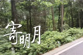 重庆最美公交车线路视频封面