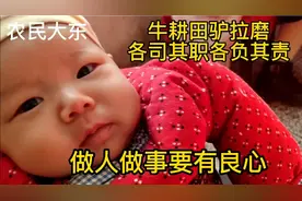 大东说牛耕田驴拉磨干良心活视频封面