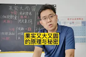 方向不对努力白费：水果又大又圆的原理与秘密！视频封面