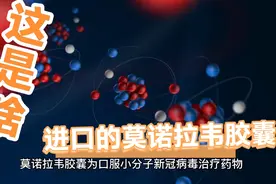 新冠口服药莫诺拉韦已到达上海，有几十万盒，后续也会持续进货。视频封面