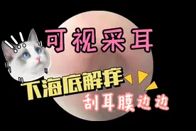 狂掏耳膜沟痒点视频封面