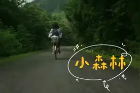 动人的旋律，小清新的嗓音超好听 // 电影《小森林》（夏）片尾曲