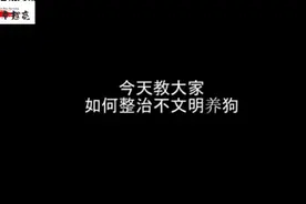 如果你遇到 邻居不文明搜 养狗，你会怎么做视频封面