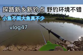 探路新乡新钓点都是大鱼野钓环境不错以后钓鱼有地方了