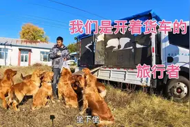 四海为家的的流浪者，出游六年中午回到我们的老家视频封面