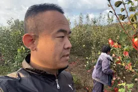透析患者能有几个活20年的。管住嘴不是一件容易事，手干好活冻麻视频封面