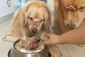 呲牙两小时，吃饭五分钟！骂骂咧咧，小牙一呲谁都不爱