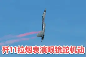 ［DCS］歼十一拉烟表演眼镜蛇机动视频封面