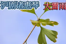 沪剧诸慧琴大雷雨视频封面