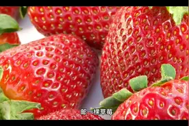 适合女生的游戏名游戏ID视频封面