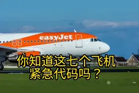 蛋蛋的知识：你知道这七个飞机紧急代码吗？视频封面