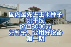 国内种业龙头企业，丰乐种业，最先进的玉米烘干线，造价8000万。