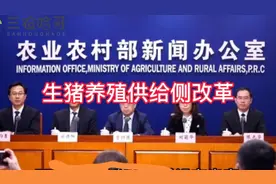 梦见生猪养殖供给侧改革！不知梦想是否成真啊！视频封面