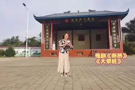 豫剧《断桥》《大祭桩》常香玉大师经典名段久唱不衰，音配像演绎视频封面
