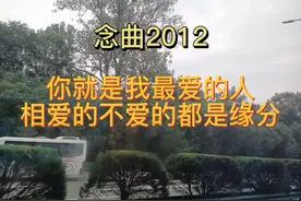 你就是我最爱的人，相爱的不爱的都是缘分视频封面