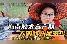 海南胶农高产期一天的收入有多少？