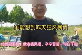 山西临猗突遭暴雨冰雹，农民大哥葡萄受灾严重，他老婆哭了