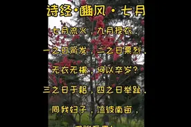 白杨讲解：《诗经•豳风•七月》原文及赏析视频封面