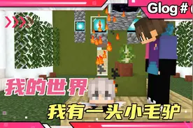 唱这首儿歌《我有一头小毛驴儿》视频封面
