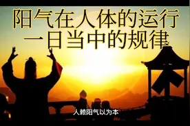 人赖阳气以为本心肺之阳在上焦脾胃之阳在中焦肝肾之阳在下焦视频封面