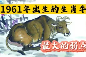 生肖牛:1961年和2021年生人，最大的弱点.？？家里有的一定要看完视频封面
