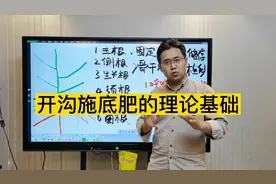 果树秋施底肥就是要开沟！看完你也不会再怀疑！