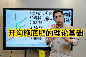 果树秋施底肥就是要开沟！看完你也不会再怀疑！视频封面